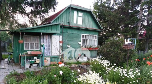 Толмачевский сельсовет, ул. Букетная фото
