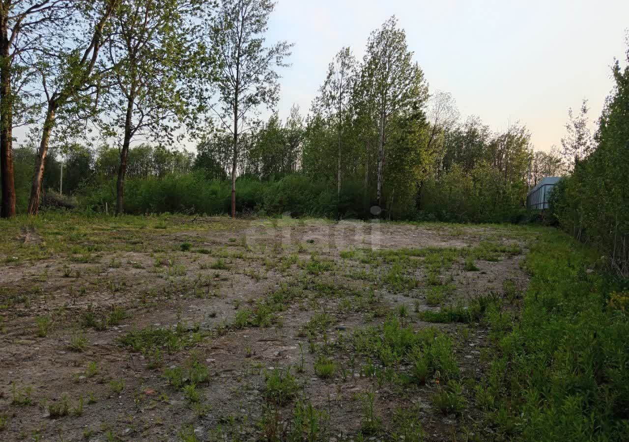 земля г Череповец р-н Заягорбский 36-й мкр-н фото 2