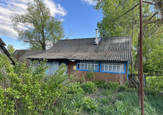 с Языкова Пятина ул Садовая Инсар фото
