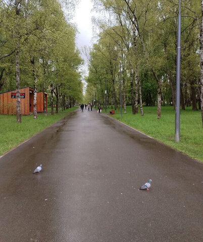 метро Речной вокзал дом 82 фото