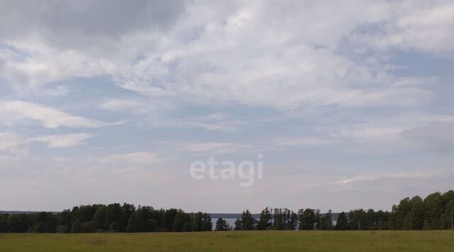 Плодовское с/пос, Молодежное кп фото