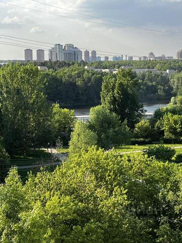 Московская область фото