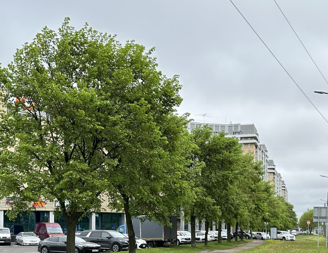квартира г Санкт-Петербург метро Проспект Славы пр-кт Славы 52/1 Муниципальный округ №72 фото 28