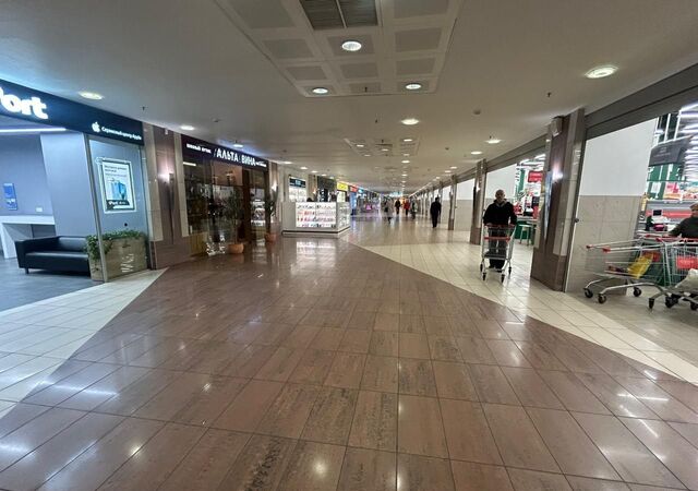 метро Проспект Просвещения пр-кт Энгельса 154 фото