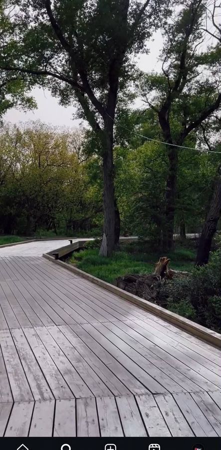 квартира г Махачкала р-н Кировский Благородная ул., 10 фото 16
