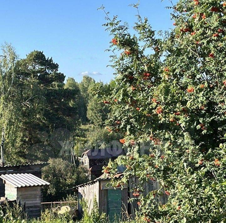 земля г Томск р-н Ленинский пл Ленина фото 1