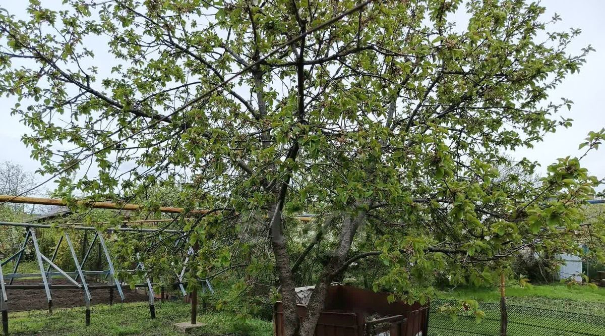 дом г Майкоп ул Восточная фото 21