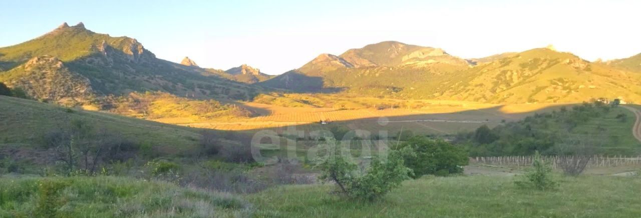 земля г Феодосия пгт Курортное ул Черноморская фото 9