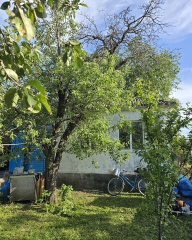 ул Калинина 12 фото