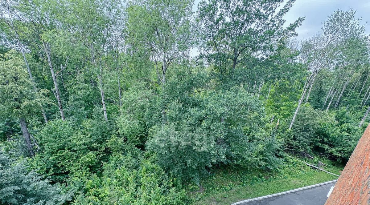 квартира г Саранск р-н Ленинский ул Р.Люксембург 9 фото 6