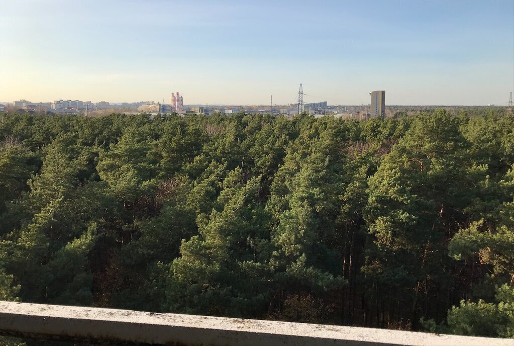квартира г Жуковский район Отдых пл Московская 7 фото 2