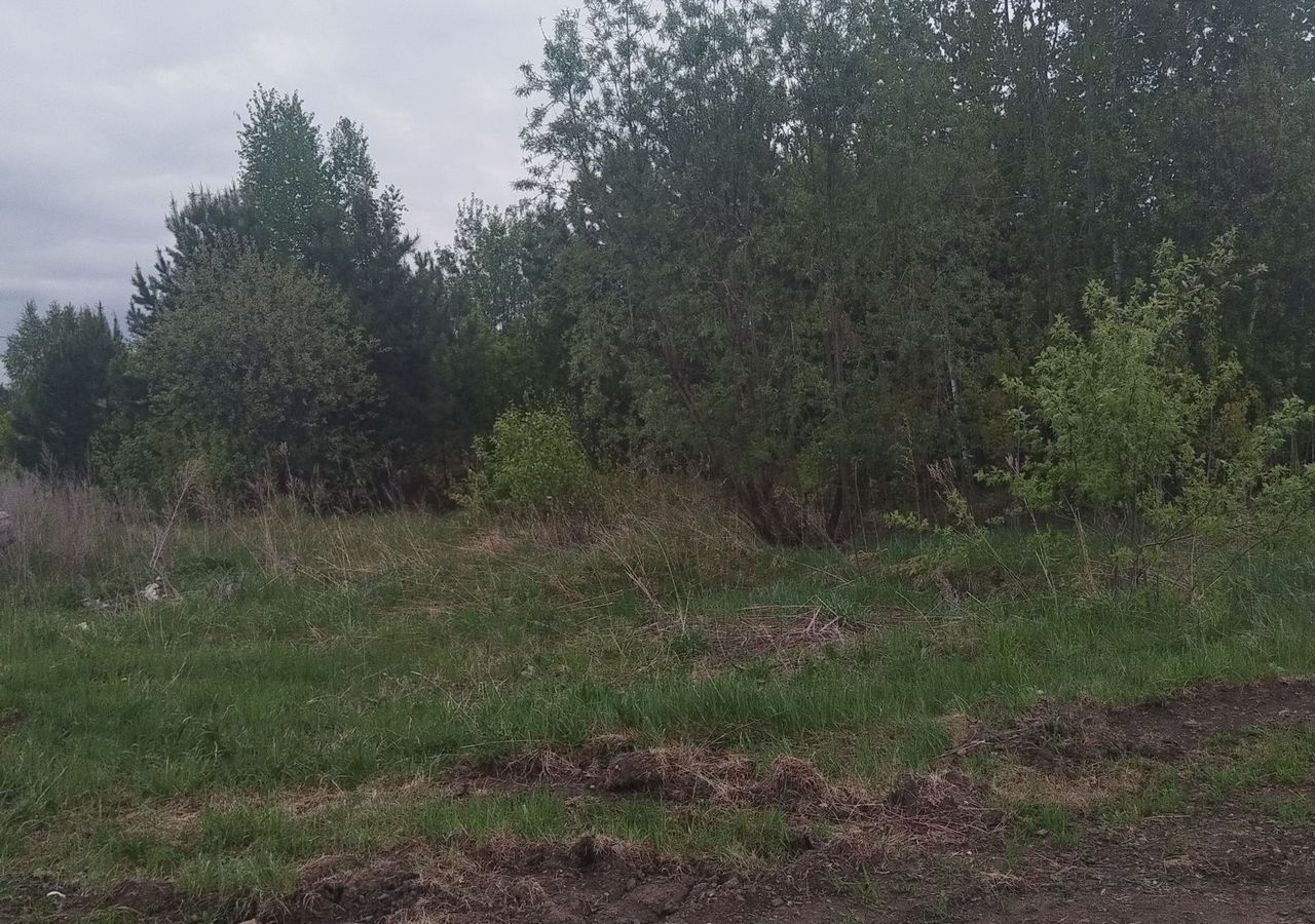 земля г Лесосибирск городской пос. Стрелка фото 2