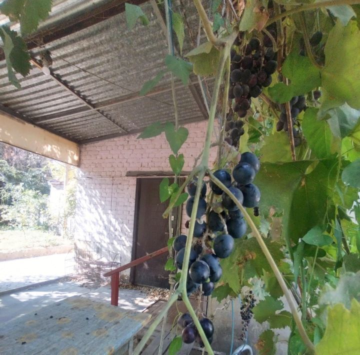 дом г Астрахань р-н Трусовский ул Волгоградская 38 фото 8