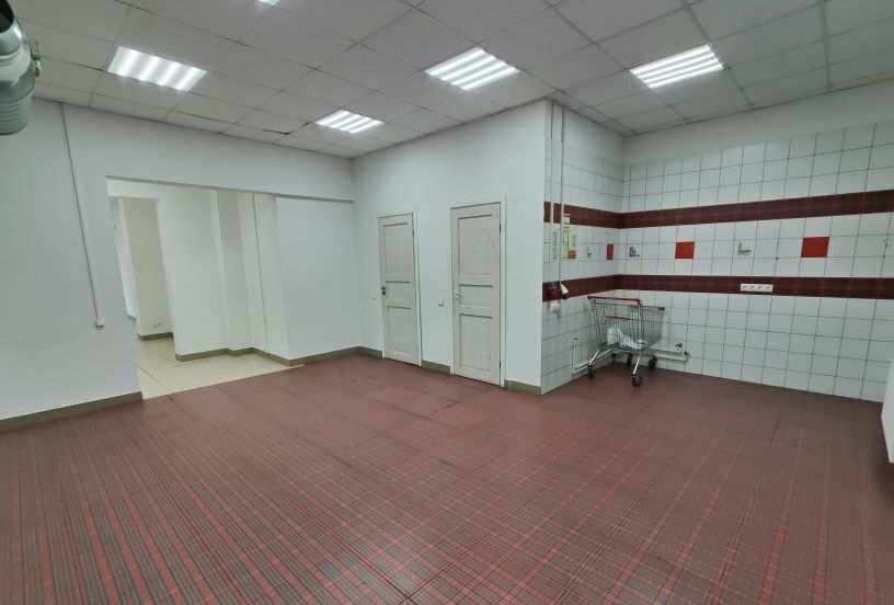свободного назначения г Санкт-Петербург п Шушары пер Вилеровский 6 метро Купчино р-н Пушкинский фото 6