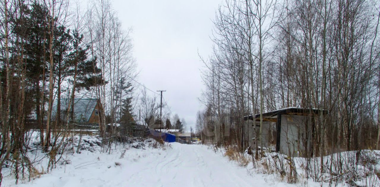 земля г Сургут снт Газовик ул Брусничная фото 11