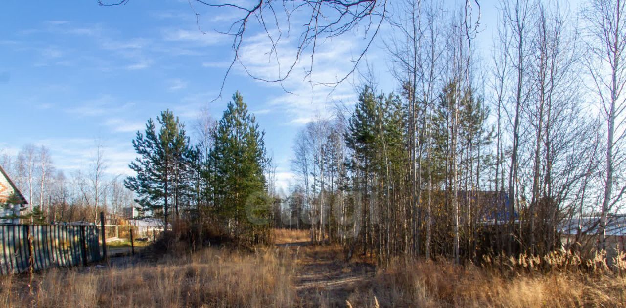 земля г Сургут № 6 Витамин потребительский садово-огороднический кооператив, 1-я линия, 6 фото 23