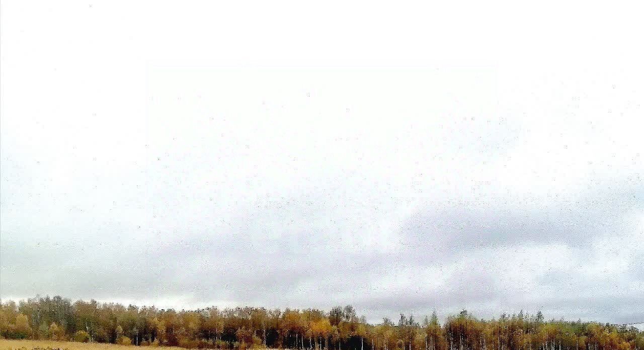 земля р-н Нерехтский г Нерехта ул Егорьевская городское поселение Нерехта фото 1