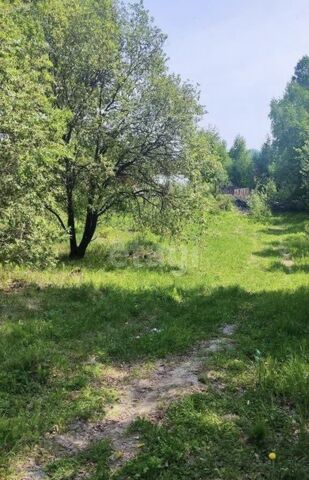 с Мамоны пер Полевой Иркутск фото