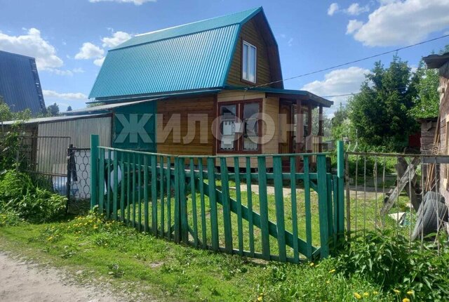 р-н Дзержинский Берёзовая роща снт тер.Золотая Горка аллея В фото