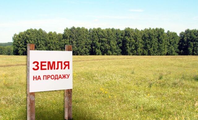 ул Новая Розовское сельское поселение, Омск фото