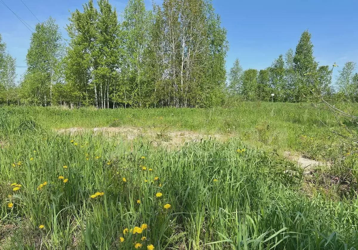 земля г Тюмень снт тер.Загородный дом фото 7