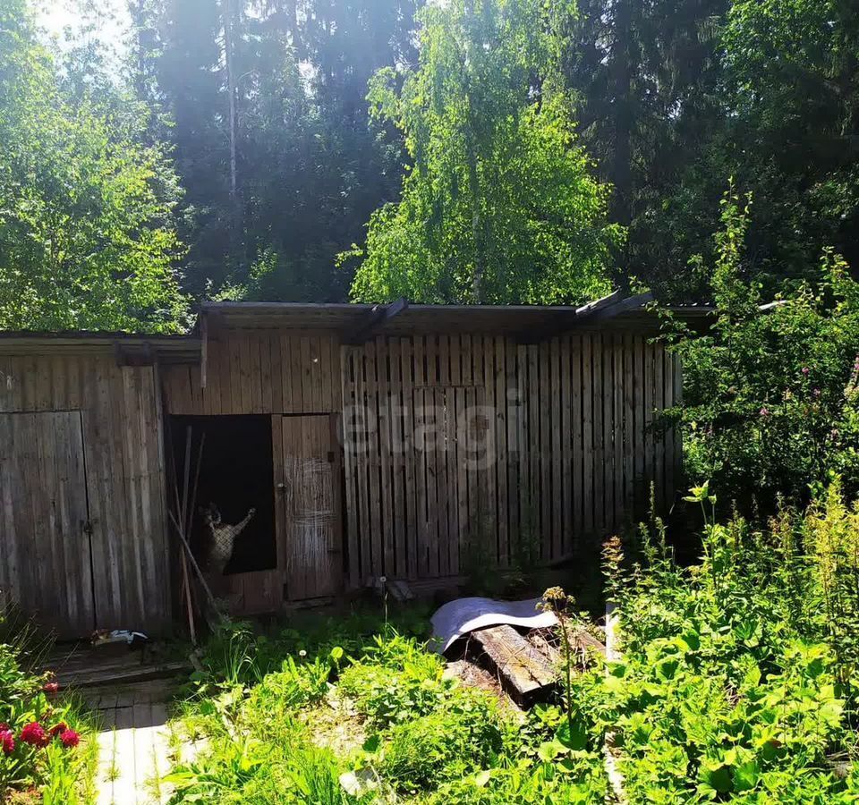 земля г Сыктывкар территория Дырносский фото 9
