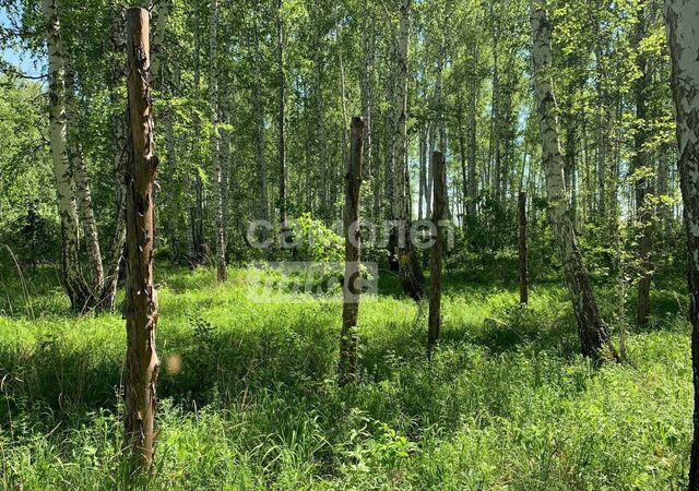 снт Кооператор Аргаяшский округ, Акбашевское сельское поселение, 33-я ул., 1693, садовый, Кировский-2 фото