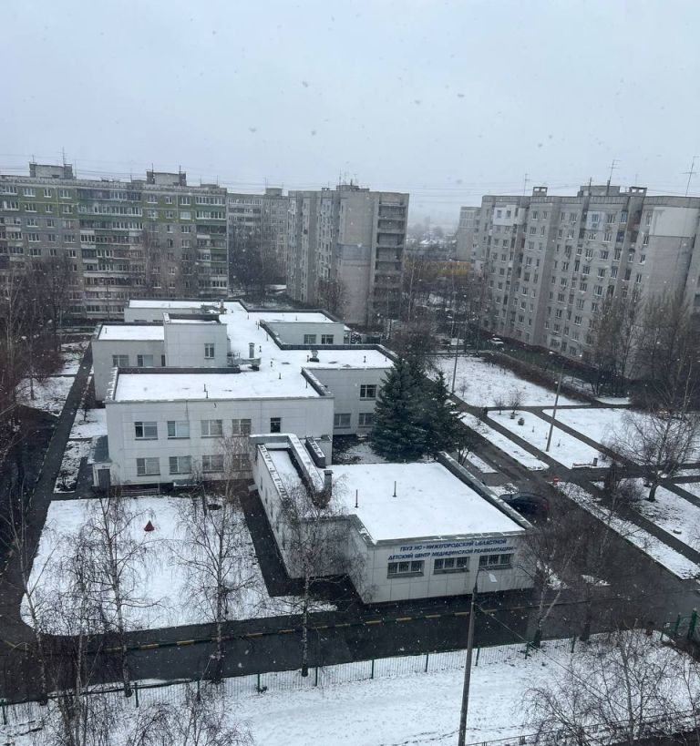 квартира г Нижний Новгород р-н Автозаводский Автозаводская Северный ул Львовская 19 м-н фото 25