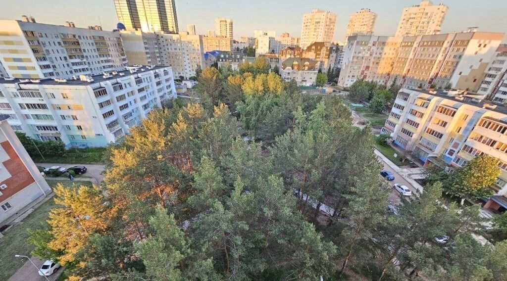 квартира г Набережные Челны р-н Центральный ул Раскольникова 65а фото 3