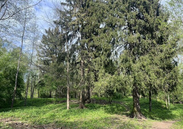 ул Курганная 45 км, Ярославское шоссе фото
