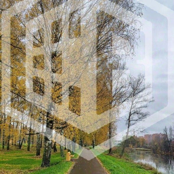квартира г Павловский Посад ул Вокзальная 3 фото 25