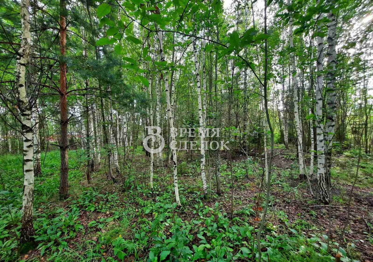земля г Владимир мкр Пиганово р-н Ленинский фото 17