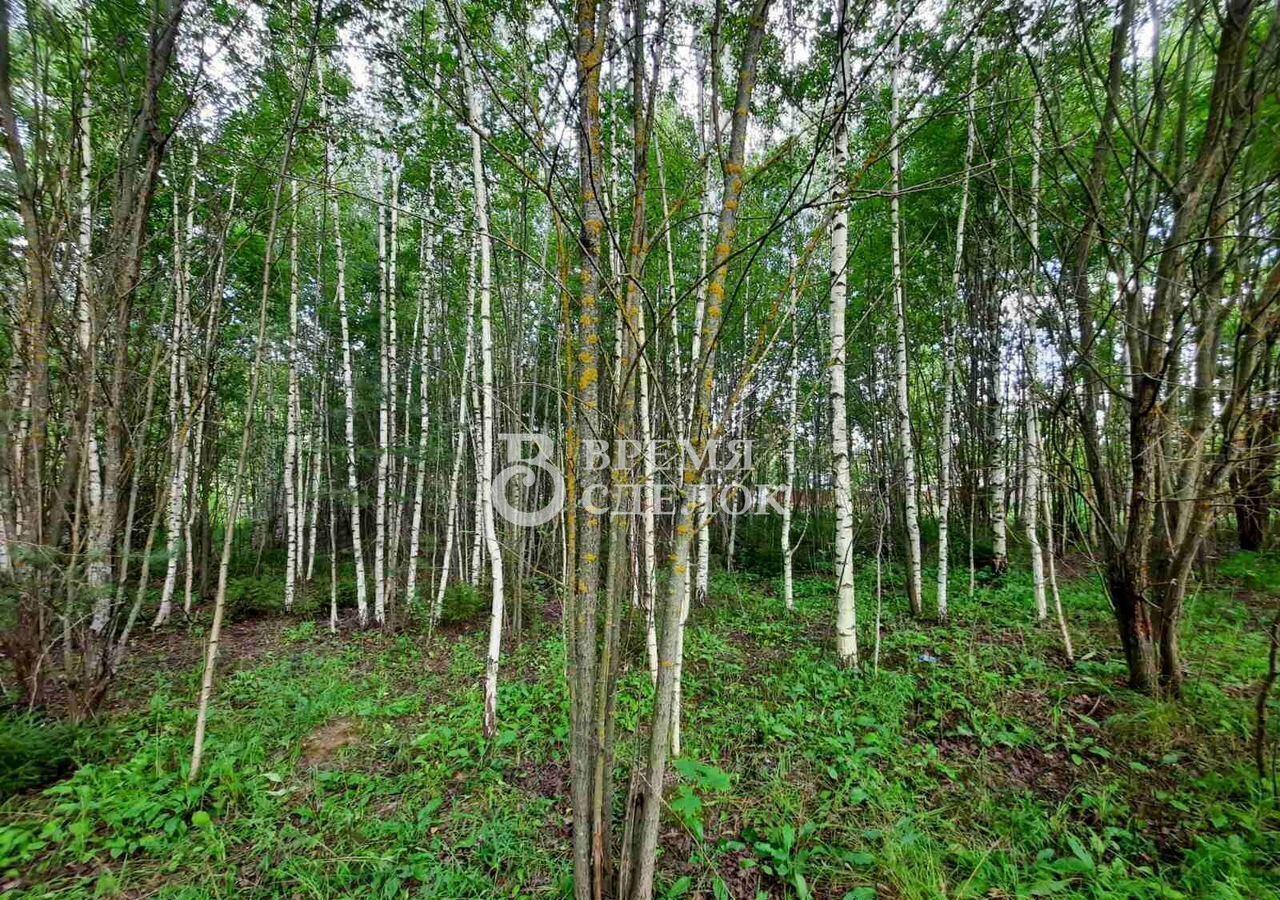 земля г Владимир мкр Пиганово р-н Ленинский фото 22