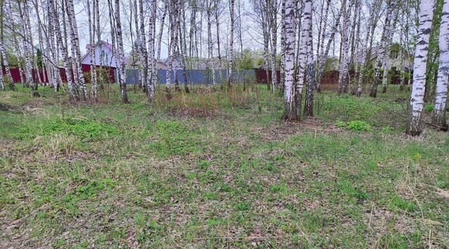 земля снт Григорково ул Северная Раменское, Раменский муниципальный округ фото