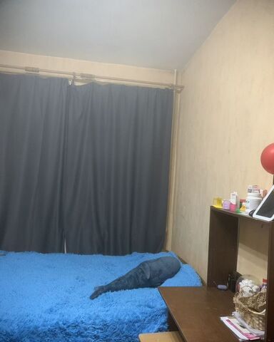 г Химки пр-д 2-й Северный 18б фото