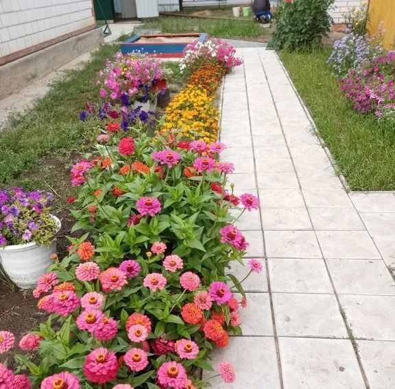 дом г Яровое ул Верещагина 36 фото 1