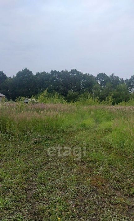 земля г Саранск р-н Ленинский снт Зеленый Друг фото 7