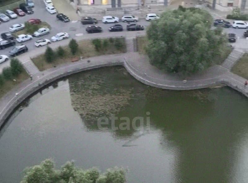 квартира г Санкт-Петербург метро Удельная пр-кт Энгельса 93 округ Светлановское фото 3