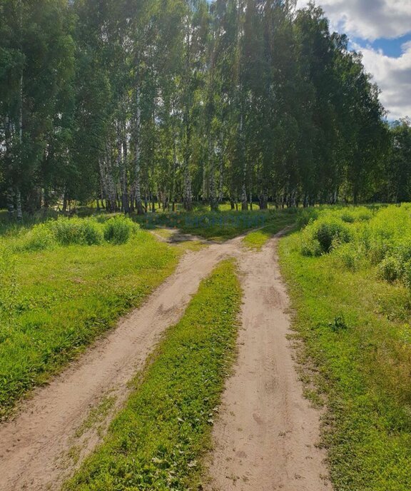 земля г Бор с Останкино (Останкинский с/с) фото 1