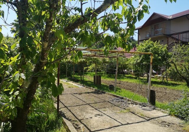 ул Банановая 16 с Илларионовка р-н Адлерский фото
