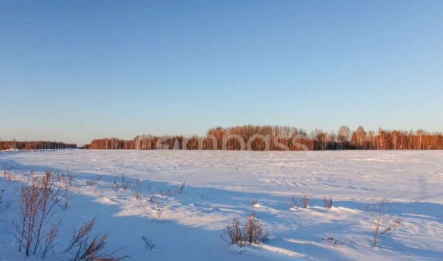 земля Горьковское муниципальное образование, Тюмень фото