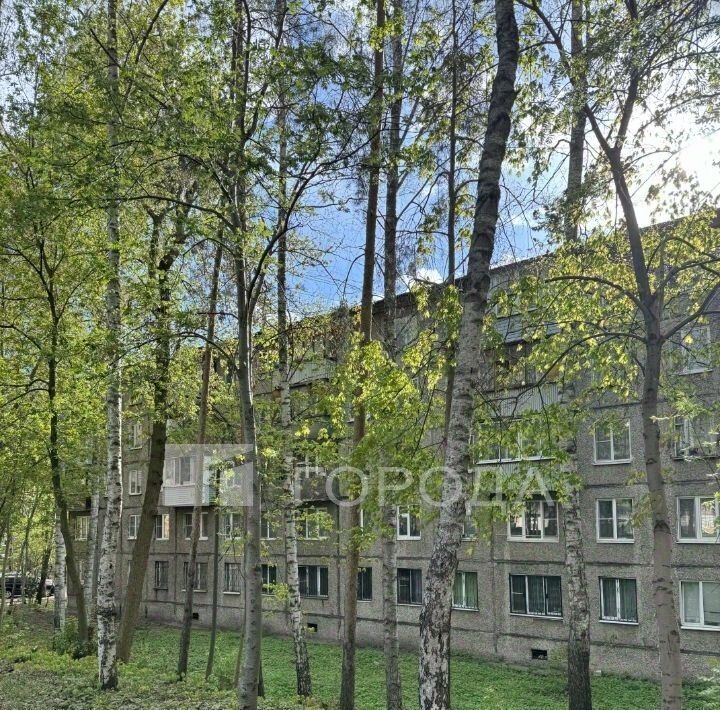 квартира г Пушкино Серебрянка 51 фото 3