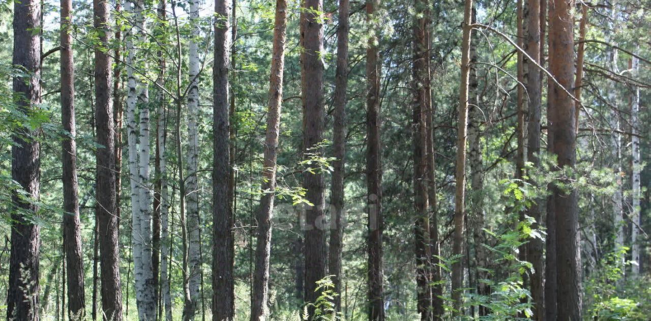 земля г Полевской с Курганово ул Набережная 10 фото 2