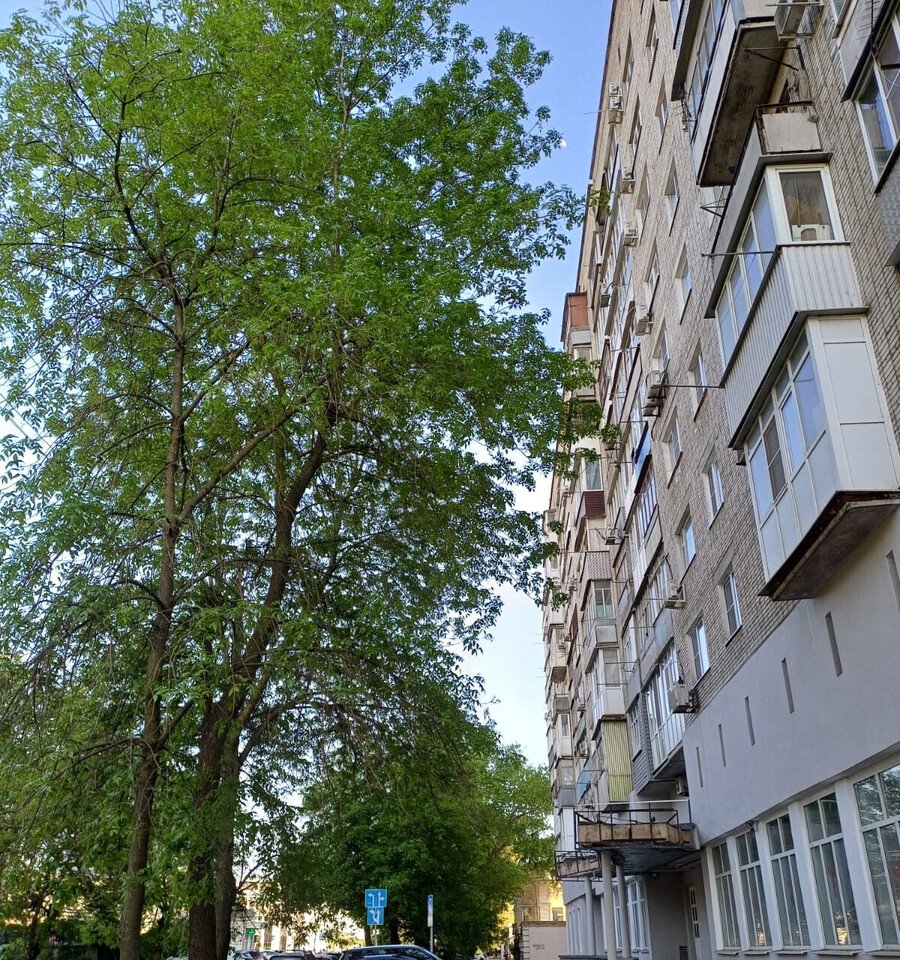 квартира г Таганрог ул Александровская 65 фото 6
