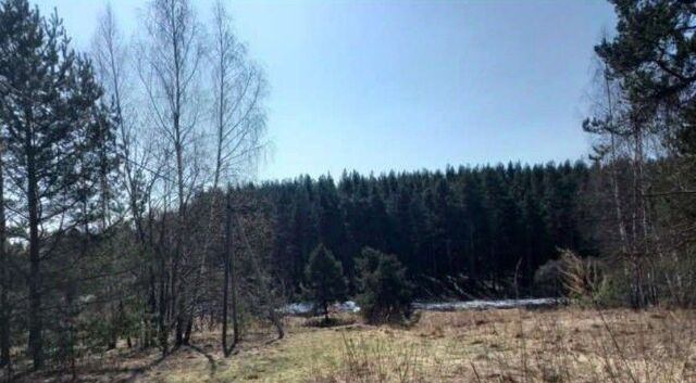 Коломна городской округ, Елочка СНТ фото