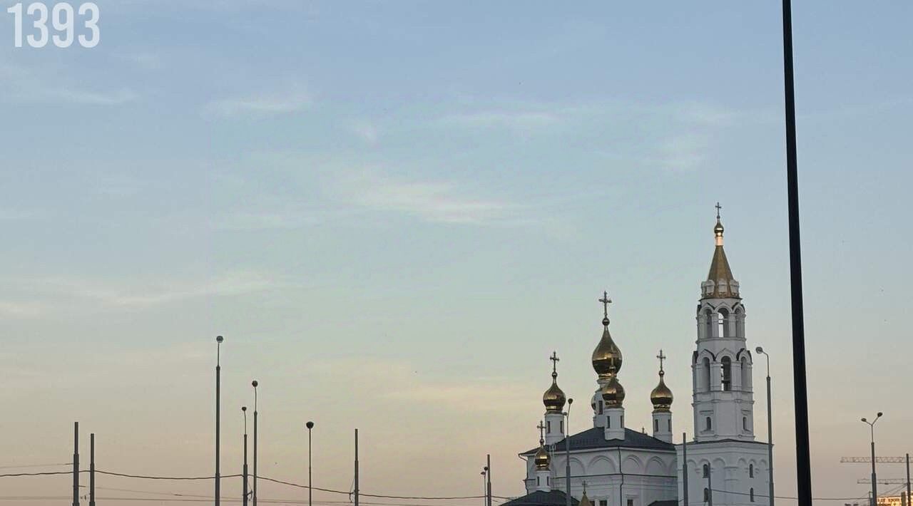 квартира г Екатеринбург Академический Геологическая ул Академика Парина 38/7 фото 26