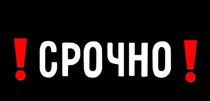 земля г Бор снт тер.Юбилейный 43 фото 1