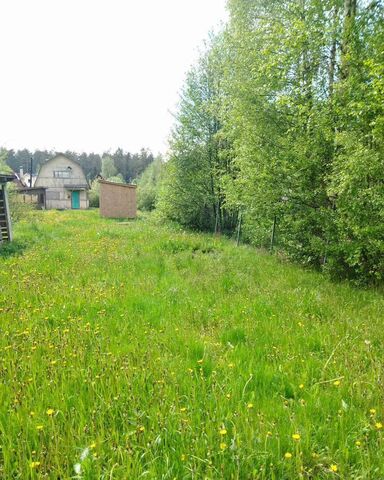 Трасса Скандинавия, 75 км, Приморское городское поселение, садоводческое некоммерческое товарищество Смородинка фото