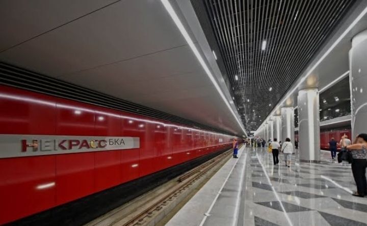 квартира г Москва метро Некрасовка ул Недорубова 5 микрорайон «Некрасовка-Парк» муниципальный округ Некрасовка фото 2