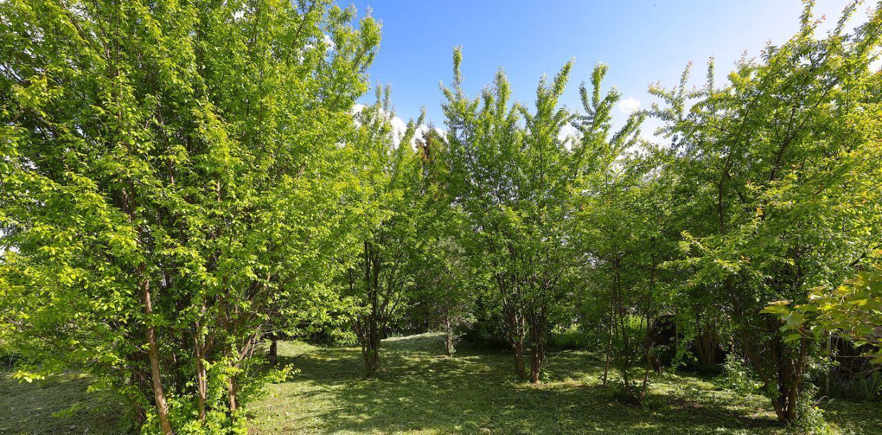 земля г Калининград р-н Центральный снт тер.Консервщик пр-д 1-й 3 фото 29